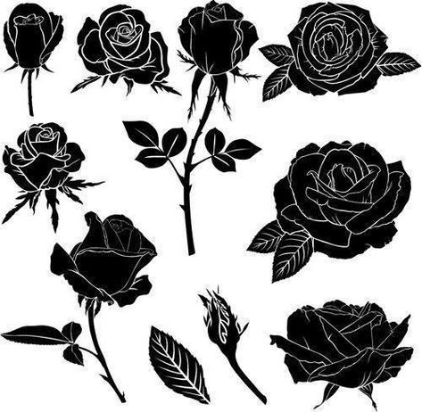 Photo Black Rose Tattoo Meaning, Rose Vector Illustration, Rose Tattoo Black, La Muerte Tattoo, Tattoo Fairy, Rosen Tattoo Frau, Rose Tat, Rose Tattoo Meaning, Illustration Rose