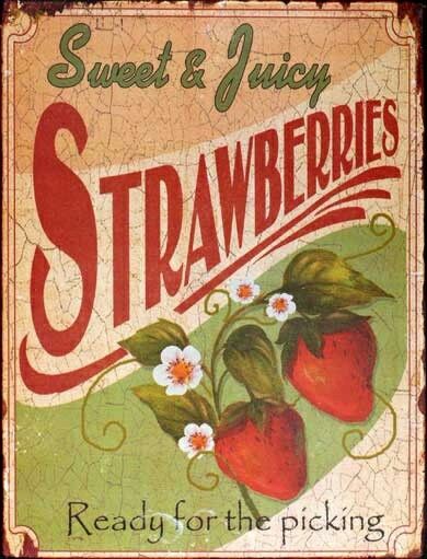 Vintage Strawberry Sign. Strawberry Kitchen, Strawberry Farm, Strawberry Fields Forever, Strawberry Decorations, Strawberry Picking, Strawberry Patch, Decoupage Vintage, Strawberry Print, Strawberry Fields