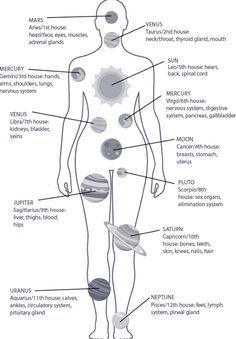 Numerology: The Meaning Of Numbers 0 To 9 Astrology Body Chart, Astrology Calendar 2023, Chariklo Astrology, Astrology Information, Diy Divination Tools, Astrology Chart Learning, Birth Chart Meanings, Astrologer Aesthetic, How To Read Your Birth Chart