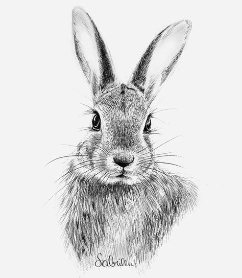 How to Draw a Bunny Face - A Step-by-Step Rabbit Drawing Guide Easy Bunny Drawing, Draw A Bunny, Hare Drawing, Bunny Sketches, Lapin Art, Rabbit Artwork, Rabbit Drawing, Bunny Watercolor, Bunny Drawing