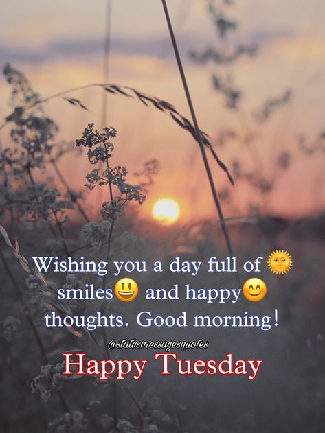 Its Tuesday Good Morning, Tuesday Blessings Mornings Smile, Happy Tuesday Morning Blessings, Good Morning Tuesday Funny, Good Morning Tuesday Inspiration, Tuesday Good Morning Wishes, Gm Messages, Good Morning Tuesday Quotes, Tuesday Good Morning Images