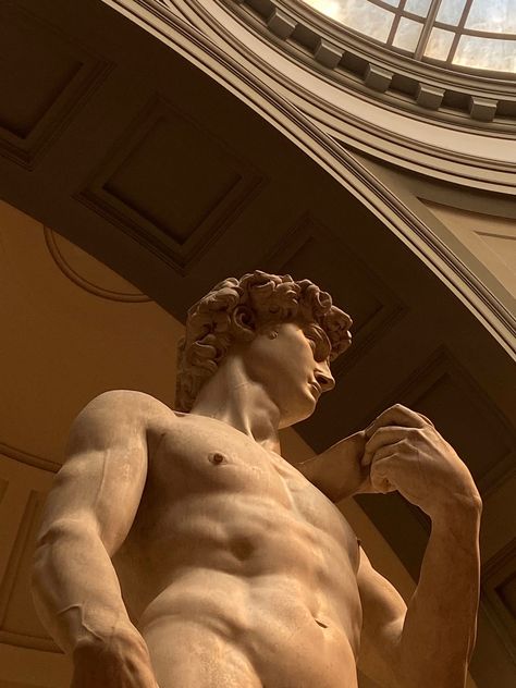 Statue Of David Wallpaper, Michelangelo Sculpture, Michelangelo David, Greek Statues, King David, Gym Inspo, Dark Academia Aesthetic, Greek Art, Academia Aesthetic