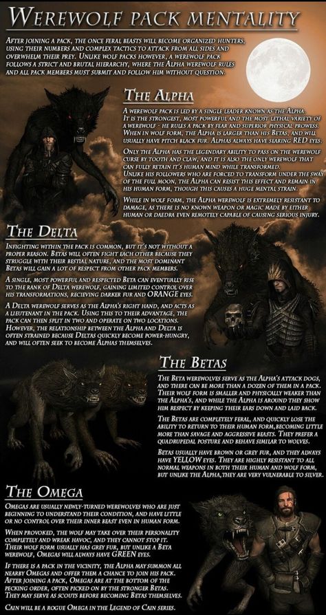 Lycan Vs Werewolf, Vampires Vs Werewolves, Pack House Werewolf, How To Write A Werewolf, Werewolf Family Art, Werewolf Pack Art, Werewolf Information, Werewolf Hierarchy, D&d Werewolf