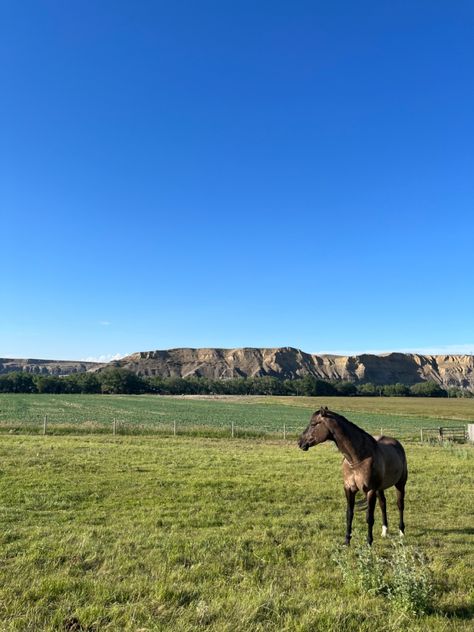 canada road trip aesthetic horses horse girl Nature, Alberta Canada Aesthetic, Alberta Aesthetic, Canada Farm, Alberta Summer, Canada Aesthetic, Moodboard Pics, Canada Country, Canada Trip