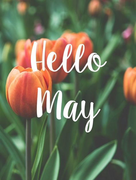 Hello May Pictures, Photos, and Images for Facebook, Tumblr, Pinterest, and Twitter Aesthetic Spring Wallpaper, Wallpaper April, April Aesthetic, April Wallpaper, New Month Quotes, Welcome May, May Quotes, Seasons Months, Heart Touching Love Quotes