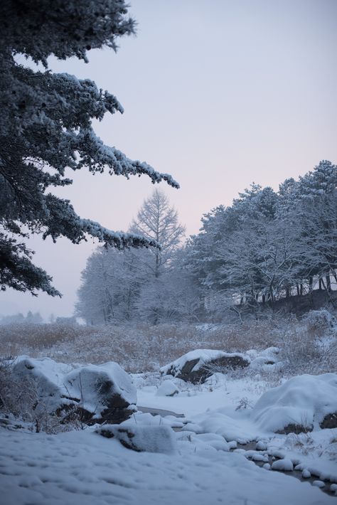 Mokpo, Bittersweet Aesthetic, Korea In Winter, Korean Countryside, Winter In Korea, Cabin In Winter, Dog Shadow, Winter Lovers, Korea Winter