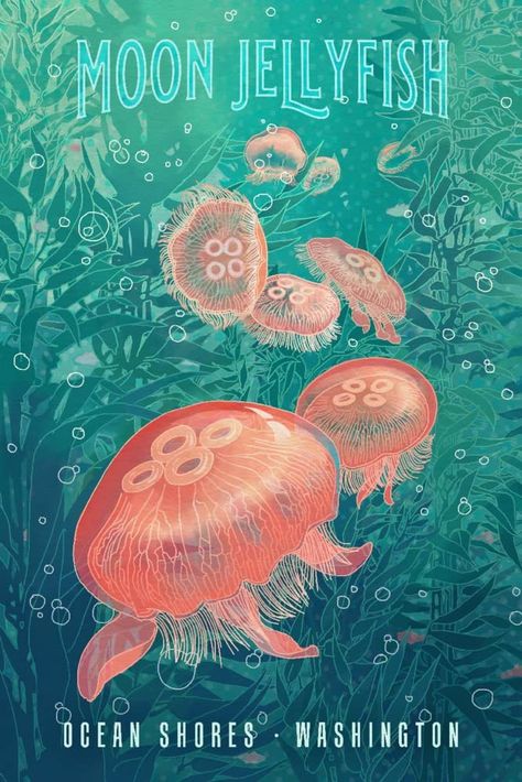 Snake Spirit Animal, Ocean Shores Washington, Jellyfish Pictures, Cool Poster Designs, Jellyfish Lantern, Moon Jellyfish, College Poster, Bunny Poster, Ocean Room