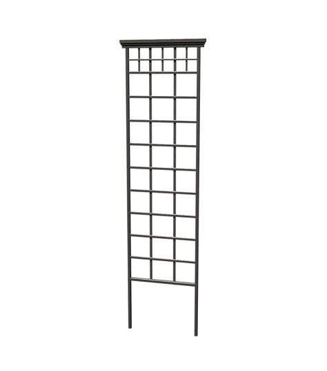 Building A Trellis, Pergola Decorations, Cattle Panels, Black Canadians, Metal Trellis, Black Garden, Climbing Vines, Plant Supports, Pergola Kits