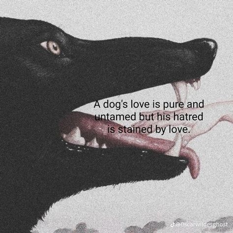 Angeles, Deep Dog Quotes, Dog Metaphor, Megumi Fushiguro Aesthetic, Canine Poetry, Love Pfp, Dog Poetry, Soul Crushing, Puppy Time