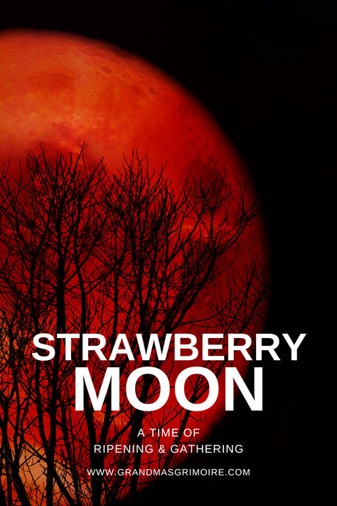 The Strawberry Moon: A Time of Ripening and Gathering Strawberry Full Moon 2024, Strawberry Moon Ritual, June Magick, Strawberry Full Moon, Full Moon Images, Full Moon June, Strawberry Harvest, Full Strawberry Moon, Best Ever Chocolate Cake