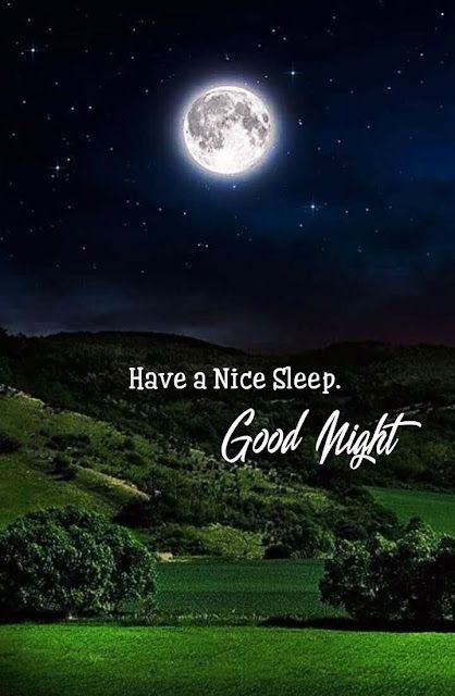 Bonito, Good Night Photos, Good Night Msg, Good Night Blessings Quotes, Good Night Dear Friend, Night Wallpapers, Good Night Pics, Romantic Good Night Image, Good Night To You