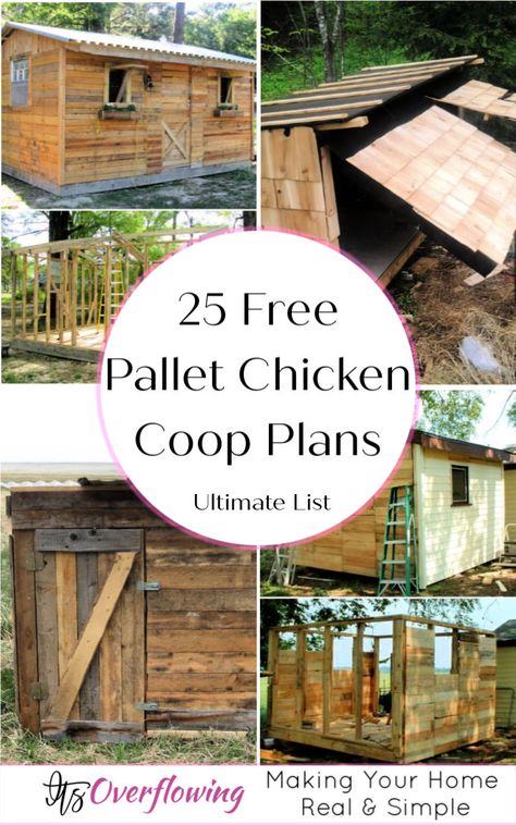 25 Pallet Chicken Coop Plans To Save Your Money Pallet Chicken Coop Plans, Diy Chicken Run, Pallet Coop, Pallet Chicken Coop, Easy Diy Chicken Coop, Hen Houses, Chicken Coop Plans Free, Chicken Coop Blueprints, Cheap Chicken Coops