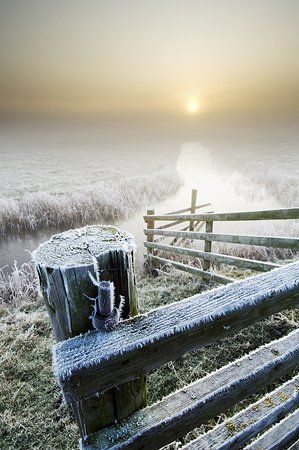 Kent, UK by Robert Canis Winters Tafereel, Winter Szenen, Winter Sunrise, Belle Nature, Earth Pictures, Winter Magic, Airbrush Art, Winter Beauty, Snow Scenes