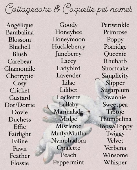 Pet names. Animal names. Cottagecore. Coquette. Stuff Animal Names Ideas, Fantasy Animals Names, Fairy Last Names, Cottagecore Words Aesthetic, Aesthetic Names For Pets, Aesthetic Pet Names For Cats, Cute Names For Characters, Character Names Last Name, Cottagecore Nicknames