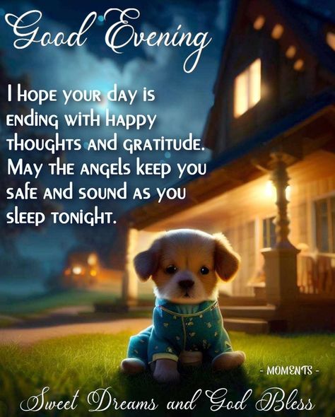 Wishing You A Good Night, Evening Blessings Beautiful, Have A Good Night My Friend, Blessed Evening Quotes, Good Night Friends Friendship, Good Evening Quotes Inspirational, Good Evening Blessings, Good Night Wishes Beautiful, Good Night Thought