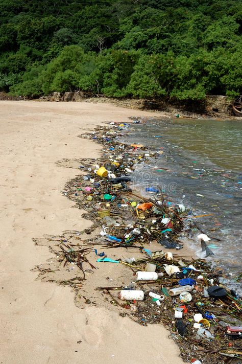 Plastic pollution in the sea. Photo of plastic pollution on the beach in the sea , #ad, #Photo, #plastic, #sea, #Plastic, #pollution #ad Water Pollution Activities, Pollution Activities For Kids, Water Pollution Poster, تلوث المياه, Pollution Pictures, Plastic And Environment, Pollution Activities, Pencemaran Air, Plastic In The Sea