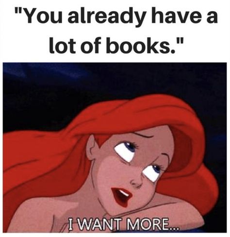 Funniest Books, Writer Memes, Bookworm Problems, Book Funny, Book Quotes Funny, Quotes Book, Book Subscription, Reading Humor, Funny Pictures With Captions