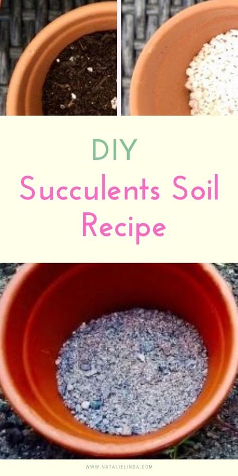 Diy Succulent Soil Recipe, Diy Succulent Planter Indoor, Succulent Soil Recipe, How To Pot Succulents, Diy Cactus Soil, Soil For Succulents Potting, Diy Succulent Soil, Succulent Soil Mix Diy, How To Grow Succulents