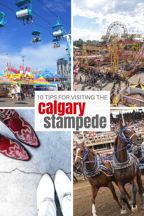 From making your cowboy boots do double duty to getting into the grounds for free, these tips and tricks are guaranteed to making your #Calgary Stampede a buckin' good time. #Canada | #Stampede | #Party Stampede Outfit 2023, Stampede Outfits, Stampede Party, Calgary Stampede Outfits, Stampede Outfit, Canadian Road Trip, Canada Trip, Calgary Stampede, Canada Eh