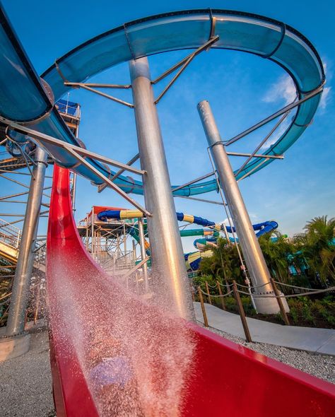 Island H2O Live! Water Park, Kissimmee | Water Parks in Florida Island H2o Water Park, H2o Water, Splash Zone, Video Booth, Interactive Experience, Wave Pool, Water Parks, Wife And Kids, Relaxing Day