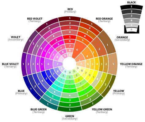 The color wheel with numbered shades Color Wheel Brown, Split Complementary Color Scheme, Colour Wheel Theory, Makeup Color Wheel, Baby Room Colors, Tertiary Color, Purple Color Palettes, Three Primary Colors, How To Make Brown