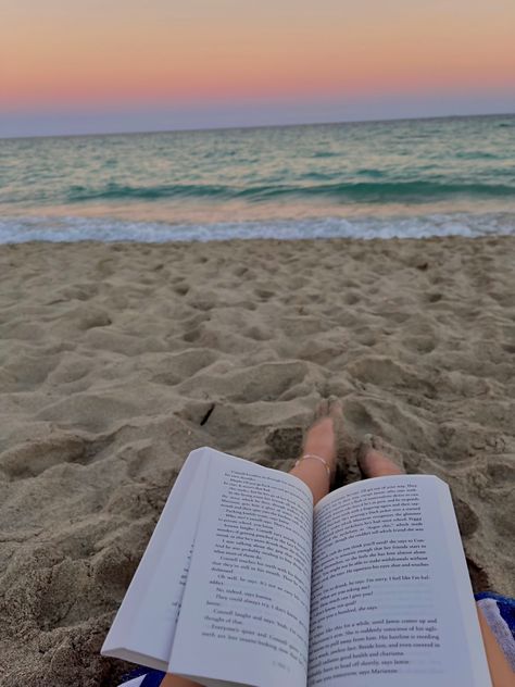 Argentina, Read On The Beach, Beach Aquarium, Aquarium Of The Pacific, Brazil Aesthetic, Hilton Hawaiian Village Waikiki, Broadway At The Beach, Beaches Turks And Caicos, Hilton Hawaiian Village