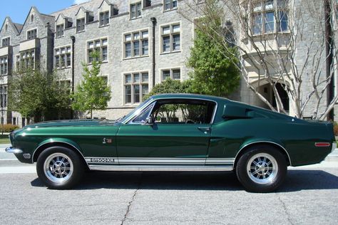 1968 Shelby Mustang Ford Mustang Shelby Gt350, Ford Mustang Shelby Cobra, Ford Mustang 1964, 1968 Ford Mustang, 1965 Ford Mustang, Shelby Gt350, Mustang Gt500, Shelby Mustang, Ford Mustang Fastback