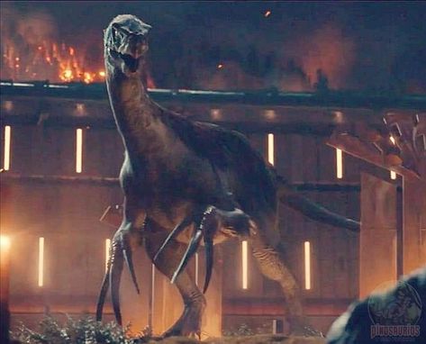 Jurassic world dominion Jurassic World Wallpaper, Jurassic Movies, Jurassic World 3, Jurassic World 2015, Jurassic World Dominion, Low Rider Girls, Dinosaur Images, Michael Crichton, Dinosaur Pictures