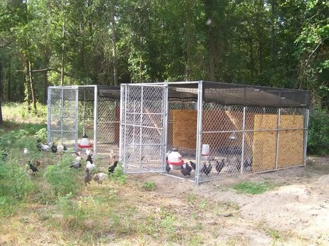 chicken coop inside a dog pen - Google Search Dog Kennel Chicken Coop, Kennel Chicken Coop, Chicken Coop Inside, Outdoor Pet Enclosure, Dog Cave, Dog Kennel Cover, Dog Kennel Furniture, Kennel Cover, Dog Run