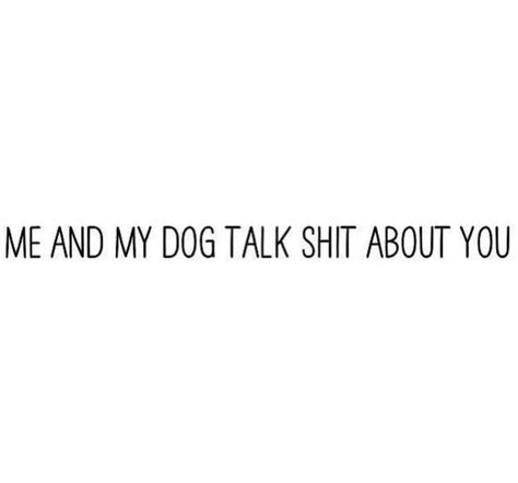 And you can't sit with us. Short Quotes, Agressive Dog, Petty Memes, Paw Care, Rare Quote, Aesthetic Korea, Me And My Dog, Passive Aggressive, Sweet Quotes