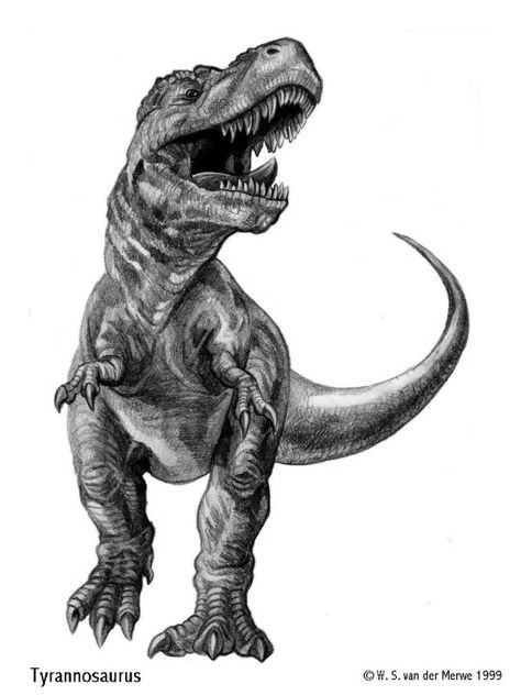 Infinite Machine Rex Tattoo, Jurassic Park Tattoo, T Rex Tattoo, Dinosaur Sketch, Dinosaur Tattoos, Dinosaur Images, Dinosaur Drawing, Dinosaur Pictures, Jurassic World Dinosaurs