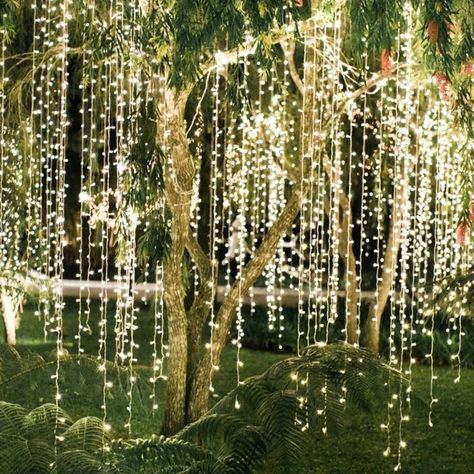 Outdoor Tree Lighting, Fairy Lights Decor, Led Curtain Lights, Lights Wedding Decor, Outdoor Trees, Icicle Lights, Fun Christmas Decorations, Backyard Lighting, Decoration Inspiration