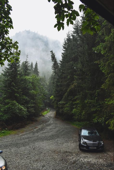 Car In Forest Aesthetic, Car In Forest, Car In The Woods, Auto Aesthetic, Rachel Price, Tumblr Icon, Cruel King, Car 2023, Car Shoot