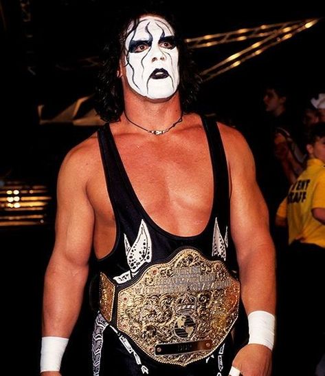 Wcw Wrestlers, Sting Wcw, Le Catch, World Championship Wrestling, Tna Impact, Professional Wrestlers, Wrestling Stars, Wwe Legends, Wwe Wallpapers