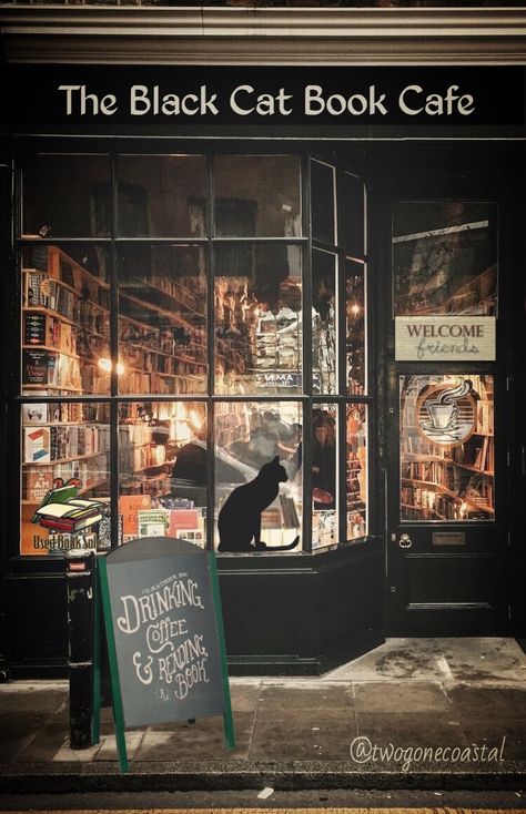 The Black Cat Book Cafe @twogonecoastal Bookstore Cafe, Cat Book, The Black Cat, Open For Business, Book Cafe, Infographic Health, Cat Cafe, Cat Books, Alam Yang Indah