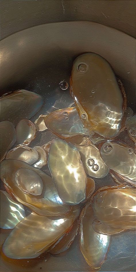 Aesthetic river bubbles pearls {500k views}\ Oyster Pearl Aesthetic, Freshwater Pearls Aesthetic, Oyster Shell Aesthetic, Pearls And Seashells, Dark Pearls Aesthetic, Pearl Core Aesthetic, Mermaid Core Wedding, Pearl Shell Aesthetic, River Summer Aesthetic