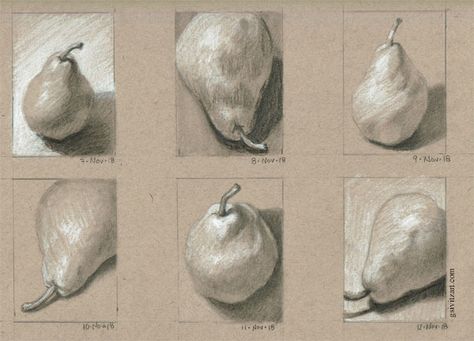 6 Days of Pear Sketches graphite and white charcoal on Strathmore toned tan sketch paper Charcoal Toned Paper, Art On Toned Paper, Charcoal On Toned Paper, Charcoal On Brown Paper, Gray Toned Paper Drawing, Tan Toned Paper Art, Drawing On Tan Paper, Strathmore Toned Tan, Toned Gray Paper Drawings