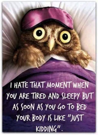 I Cant Sleep Quotes, Cant Sleep Quotes Funny, Cant Sleep Meme, Cant Sleep Quotes, Sleep Quotes Funny, Sleep Meme, Funny Good Night Quotes, Tired And Sleepy, Good Night Funny