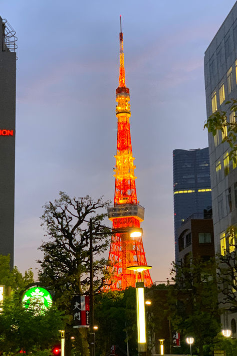 Should you visit Tokyo Tower? Tokyo Tower, Tokyo, Decks, Tokyo Pictures, Skytree Tokyo, Shibuya Sky, Tokyo Picture, Visit Tokyo, Tokyo Skytree