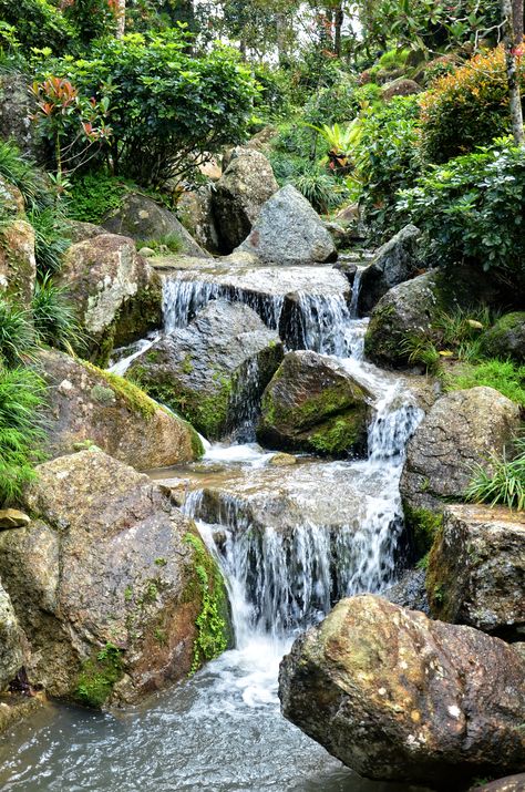 Nature, Waterfall Landscaping, Decorations Items, Garden From Scratch, Water Wall Fountain, Mini Waterfall, Aquascape Design, Residential Landscaping, Small Yard Landscaping