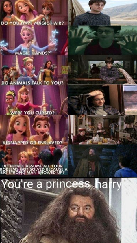 Your a princess 👸 Harry Harry Potter Wallpaper Backgrounds, Princess Harry, Harry Potter Parody, Harry Potter Friends, Funny Harry Potter Jokes, Harry Potter Items, Harry Potter Memes Hilarious, Harry Potter Feels, Harry Potter Puns