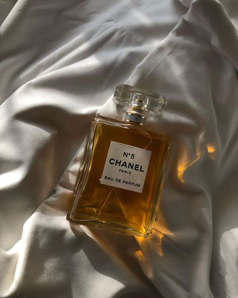 Mefilina Sofía on Instagram: “Chanel N5 will always be a vibe🤎 • How are you guys doing this week? I’ve been planning a lot more content for the upcoming months, mostly…” Paraty, Parfum Aesthetic, Chanel Instagram, Chanel N5, Aesthetic Perfume, Chanel Aesthetic, Chanel Mademoiselle, Coco Chanel Mademoiselle, Chanel N° 5