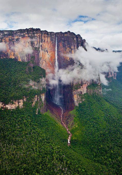 Tallest waterfall in the world (980 m). Salto Angel, Venezuela. Angel Falls Venezuela, Monte Roraima, Mount Roraima, Angel Falls, Paradise Falls, Matka Natura, Les Cascades, Fallen Angel, Pretty Places