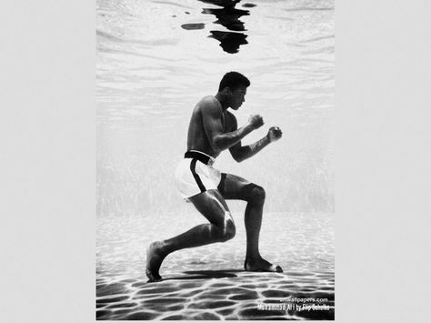 Muhammad Ali Wallpapers | Daily inspiration art photos, pictures ... Muhammad Ali Underwater, Muhammad Ali Boxing, Foto Sport, محمد علي, Mohamed Ali, Latihan Kardio, Muhammed Ali, Photo Star, Mohammed Ali