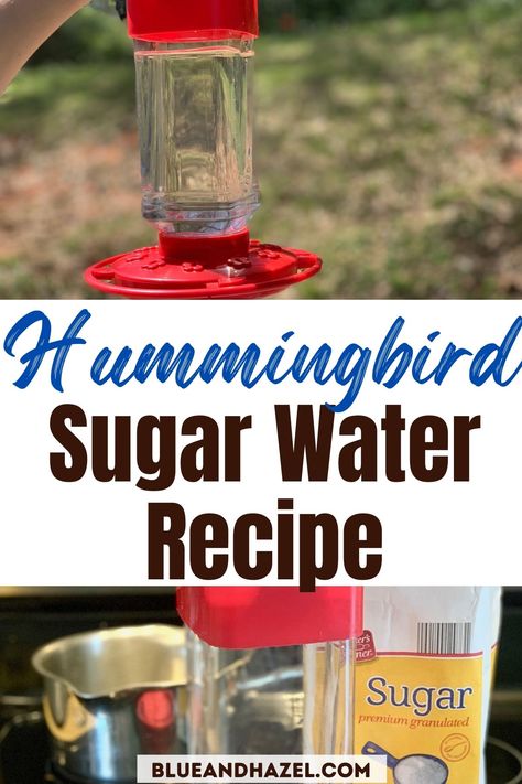 Hummingbird Sugar Water, Hummingbird Feeder Recipe, Sugar Water For Hummingbirds, Make Hummingbird Food, Homemade Hummingbird Nectar, Homemade Hummingbird Food, Hummingbird Nectar Recipe, Hummingbird Water, Diy Hummingbird Feeder