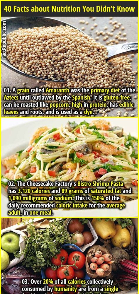 Fat Burning Foods, Chicken Sandwich, Calorie Calculator, Baking Soda Beauty Uses, Best Fat Burning Foods, Food Facts, Burger King, Healthy Nutrition, Nutrition Tips