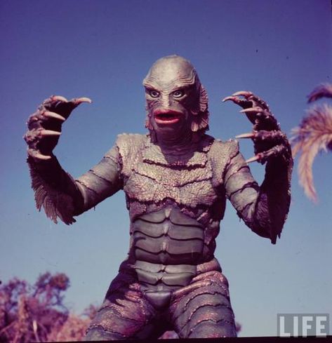 thevaultofretroscifi Arnold Movies, Life Magazine Photos, Hammer Horror Films, Creature From The Black Lagoon, The Black Lagoon, Horror Pictures, The Creeper, Classic Portraits, Scary Monsters