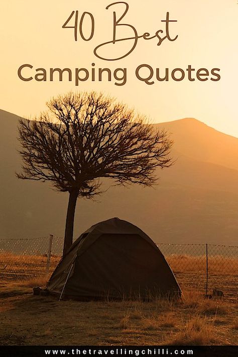 Best camping quotes to inspire you next camp adventure | campfire quotes and quotes for camping | #campingquotes #campfirequotes #quotesforcamping Camping Sayings Signs, Camping Adventure Quotes, Camping Memories Quotes, Camping Phrases Sayings Quotes, Camping Season Quotes, Family Camping Quotes, Camping Letterboard Quotes, Camping In The Mountains, Camp Fire Quotes