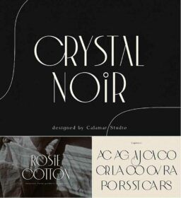 Crystal Noir Font | Free download Noir Font, Blog Headlines, Crystal Noir, Wedding Monograms, Branding Wedding, Type Inspiration, Font Inspiration, Photo Stock Images, Branding Mood Board