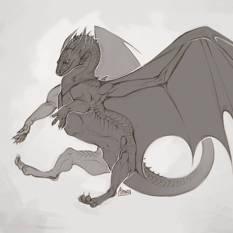 Croquis, Falconry Pose Reference, Closed Dragon Wings, Dragon Poses Drawing, Dragon Looking Up, Dynamic Dragon Poses, Dragon Pose Reference, Dragon Laying Down, Dragon Wings Drawing Reference